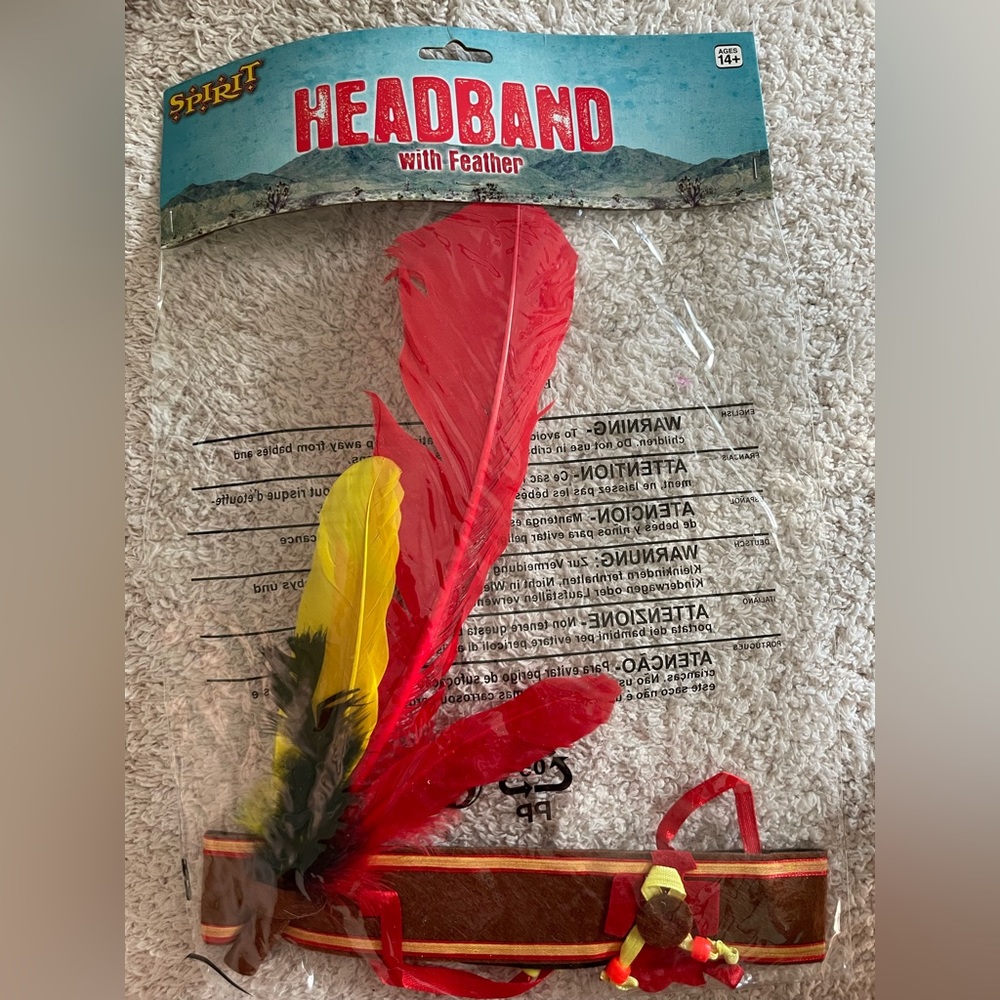 Feather headband